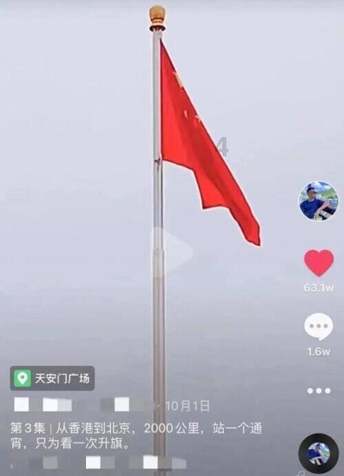 救援贪玩的大象
